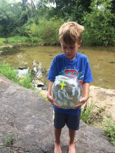 Operation Tadpole Rescue